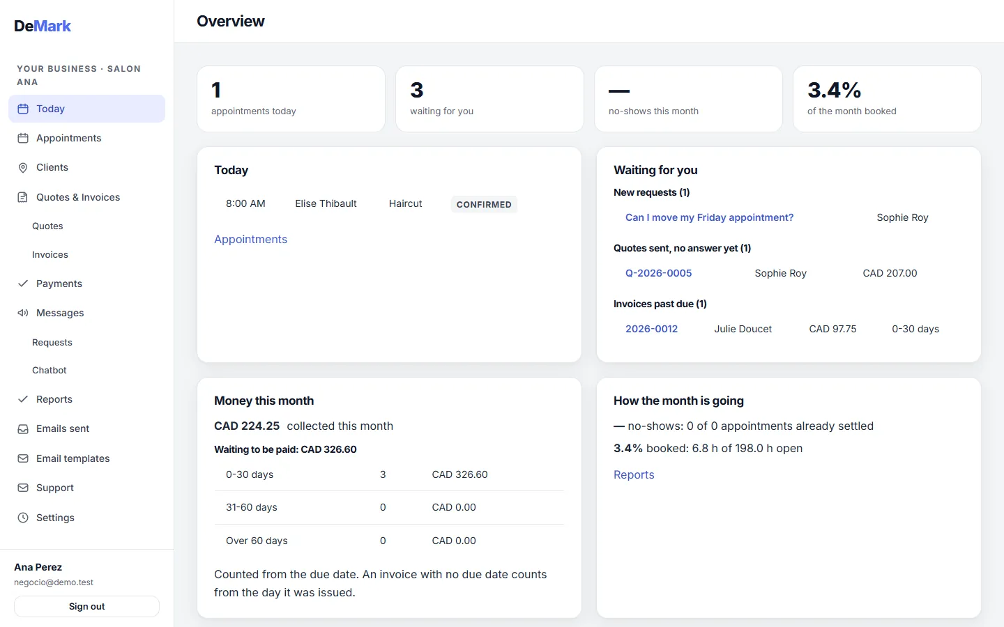 Back office overview of the demo salon: new requests, today's appointments, open support tickets and clients